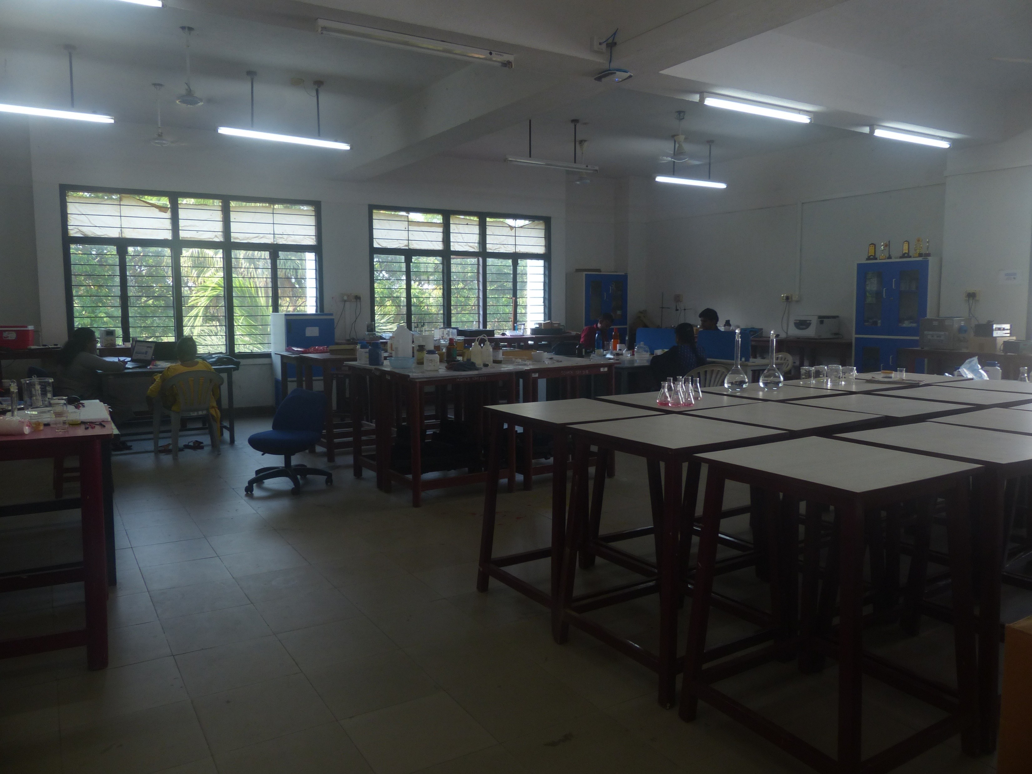 Electrochemical Sensor Lab 1