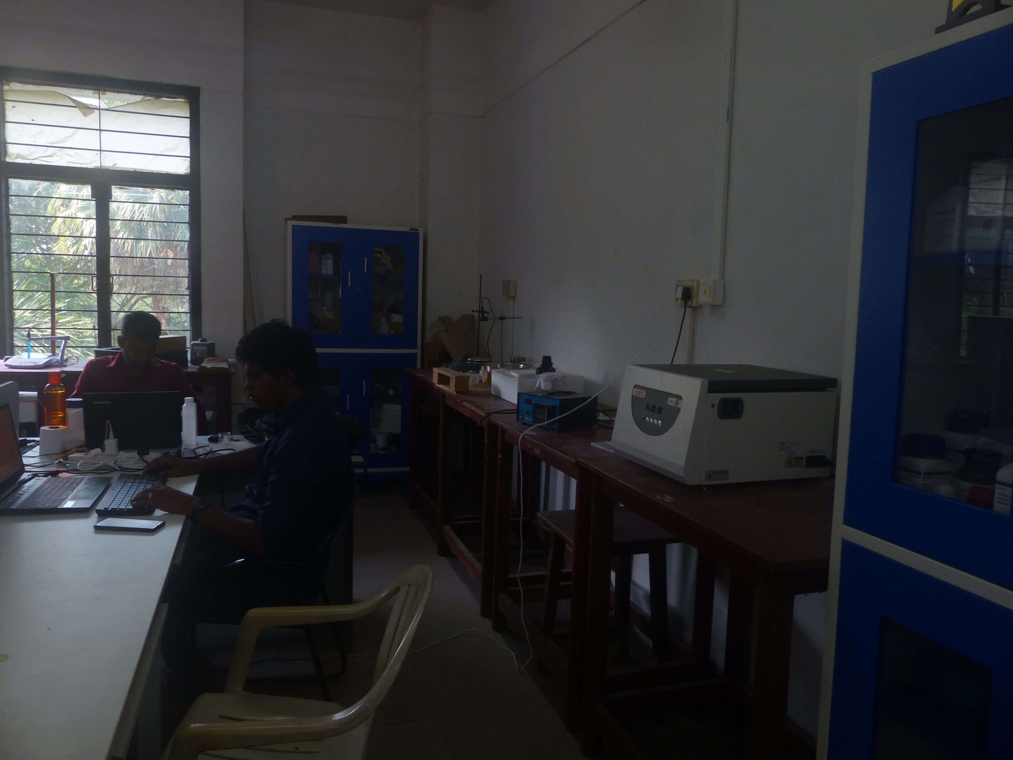 Electrochemical Sensor Lab 2