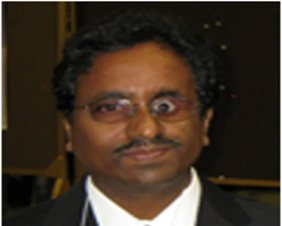 Prof. Pannuru Venkatesu